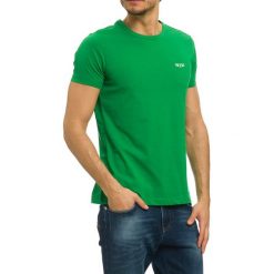 T-shirty męskie: T-shirt w kolorze zielonym