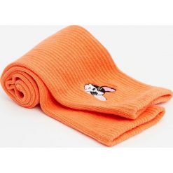 Wysokie skarpetki z haftowanym psem. Pomarańczowe skarpetki męskie Pull&Bear, z haftami. Za 29,90 zł.