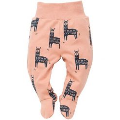 Pinokio Spodnie Dziecięce Happy Llama 56 Różowe/Niebieskie. Różowe śpiochy niemowlęce Pinokio, bez wzorów, z bawełny. Za 35,00 zł.