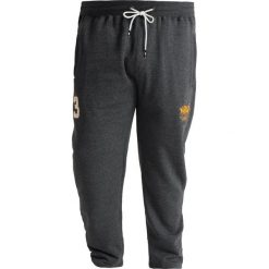 Spodnie dresowe męskie: Santa Monica GARDENA PLUS Spodnie treningowe charcoal 2 tone marl