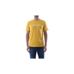 T-shirty z krótkim rękawem Calvin Klein Jeans K10K103078 COTTON FRONT LOGO. Brązowe t-shirty męskie Calvin Klein Jeans, s, bez wzorów, z jeansu, bez kołnierzyka, krótkie. Za 122,52 zł.