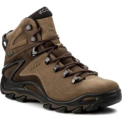 Buty trekkingowe męskie: Ecco Buty męskie Terra Evo brązowe r. 43 (82650458923)