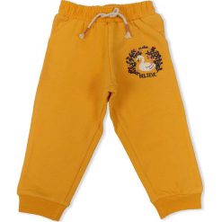 Spodnie dresowe w kolorze żółtym. Żółte spodnie niemowlęce Daisy, z aplikacjami, z dresówki. W wyprzedaży za 47,95 zł.