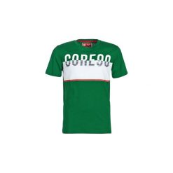 T-shirty z krótkim rękawem Jack Jones JCOVIKING. Zielone t-shirty męskie Jack & Jones, s, bez wzorów, bez kołnierzyka, krótkie. Za 55,30 zł.