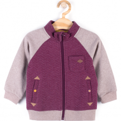 Bluza. Czerwone bluzy chłopięce rozpinane STEGOSAURUS, z bawełny. Za 49,90 zł.