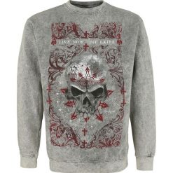 Bejsbolówki męskie: Alchemy England Demon Birth Bluza szary