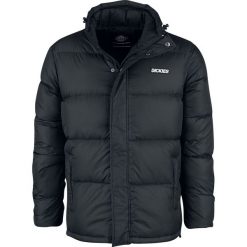 Dickies Oakvale Kurtka zimowa czarny. Czarne kurtki męskie zimowe marki TRIBAN, xl, z elastanu. Za 399,90 zł.
