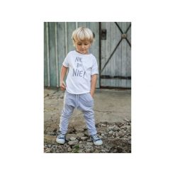 KOSZULKA TED BIAŁA "Nie bo Nie". Białe t-shirty chłopięce marki M-art-a-baby, z nadrukiem, z elastanu, z krótkim rękawem. Za 60,00 zł.