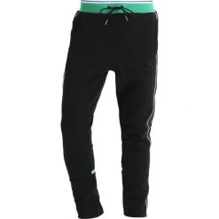 Spodnie dresowe męskie: Puma BIG SEAN TRACK Spodnie treningowe puma black