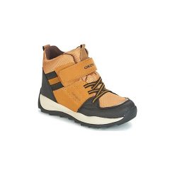 Buty zimowe chłopięce: Śniegowce Dziecko Geox J ORIZONT B B.ABX E