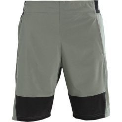 Spodenki i szorty męskie: Puma VENT STRETCH SHORT Krótkie spodenki sportowe castor gray
