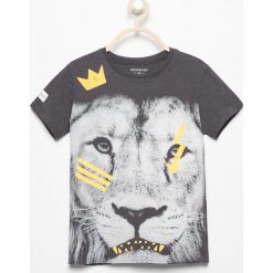 T-shirty chłopięce: T-shirt z lwem – Szary