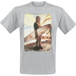 T-shirty męskie: Star Wars Chewie On The Beach T-Shirt odcienie szarego