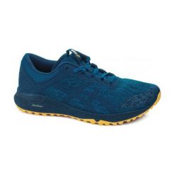 Buty skate męskie: Asics Buty męskie Alpine XT niebieskie r. 44 (T828N-4645)