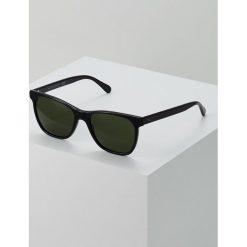 Okulary przeciwsłoneczne męskie: Polo Ralph Lauren Okulary przeciwsłoneczne green