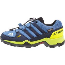 Buty skate męskie: adidas Performance TERREX GTX Obuwie hikingowe trace royal/collegiate navy/solar slime