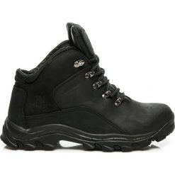 Buty trekkingowe męskie: TREKKINGOWE BUTY ZE SKÓRY