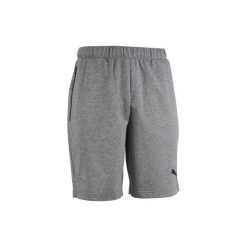 Spodenki Gym & Pilates Active 100 męskie. Szare spodenki sportowe męskie marki Puma, z bawełny. Za 84,99 zł.