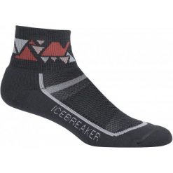 Skarpetki damskie: Icebreaker Skarpetki Sportowe Wmns Multisport Light Mini Oil/Snow S