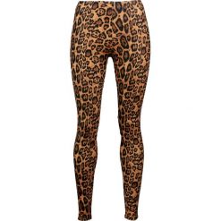 Odzież damska: Alcatraz Leopard Legginsy brązowy/czarmy