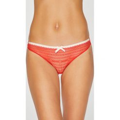 Stringi: Undiz - Stringi New Voltiz
