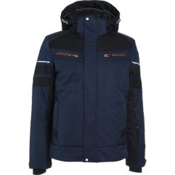 Kurtki sportowe męskie: Icepeak CASH Kurtka snowboardowa dark blue
