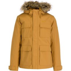 Kurtka zimowa Jack Wolfskin 1108153-5205. Żółte kurtki męskie Jack Wolfskin, na zimę, m, bez wzorów, z poliamidu, bez kaptura. W wyprzedaży za 749,00 zł.