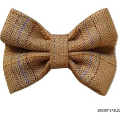 Mucha / Muszka Męska- Musztardowa Krata. Brązowe muszki męskie marki Pakamera, bez wzorów, z bawełny, eleganckie. Za 65,00 zł.