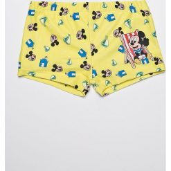Blukids - Kąpielówki dziecięce. Szare kąpielówki chłopięce marki Blukids, z elastanu. Za 39,90 zł.