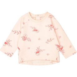 Bluzy dziewczęce: Bluza z moltonu z nadrukiem 1 m-c – 3 lata
