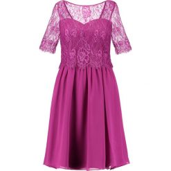 Sukienki: Dorothy Perkins SHOWCASE LOLA Sukienka koktajlowa raspberry