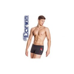 Spodenki pływackie RICARDO 03 - szary / czerwony / jasnoszary L. Szare spodenki sportowe męskie Aqua-Speed, m, bez wzorów, z dzianiny, sportowe, na fitness i siłownię. Za 54,00 zł.