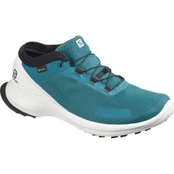 Salomon Sense Feel Gtx Tenisówki Niebieski Wielokolorowy. Niebieskie trampki męskie Salomon, bez wzorów, z materiału, bez zapięcia. Za 438,95 zł.