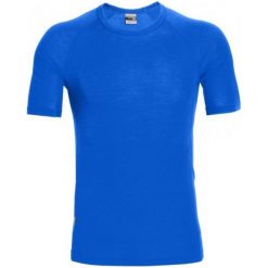 Koszulki sportowe męskie: Icebreaker Koszulka Sportowa Mens Everyday Ss Crewe Awesome Xl