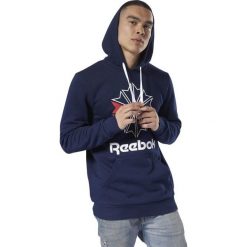 MĘSKA BLUZA Z KAPTUREM REEBOK CLASSIC (M). Bluzy męskie Reebok, m, bez wzorów, z bawełny, eleganckie, z kapturem, bez rękawów, z kapturem. W wyprzedaży za 179,99 zł.