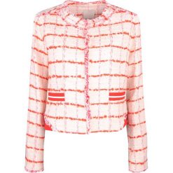 Pinko Marynarka "Ribelle Giacca". Marynarki damskie Pinko, bez wzorów. Za 599,00 zł.