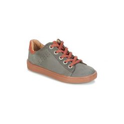 Buty Dziecko Aster SOLIO. Szare trampki chłopięce marki ASTER. Za 263,20 zł.