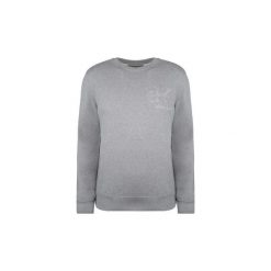 Bluzy Calvin Klein Jeans J30J306415025. Szare bluzy męskie Calvin Klein Jeans, xl, bez wzorów, z jeansu, bez kołnierzyka, bez rękawów, bez kaptura. Za 299,00 zł.