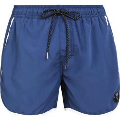 Kąpielówki męskie: Brunotti CALBERO MEN Szorty kąpielowe dark blue