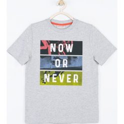 Coccodrillo - T-shirt dziecięcy 128-158 cm. Szare t-shirty chłopięce COCCODRILLO, z nadrukiem, z elastanu, bez rękawów. W wyprzedaży za 24,90 zł.