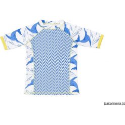 T-shirty chłopięce: T-shirt plażowo-kąpielowy dla dziecka UPF 50+