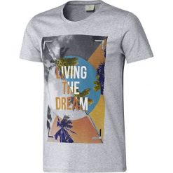 T-shirty męskie: Adidas Adidas T-shirt B89613 szare XS