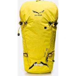 Plecaki męskie: Salewa – Plecak Apex 22 L