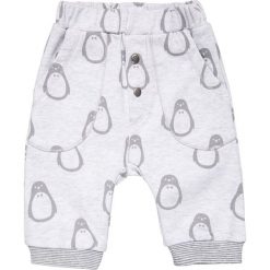 Spodnie chłopięce: bellybutton PENGUIN PARTY Spodnie materiałowe multicolored