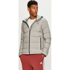 Adidas Performance - Kurtka puchowa. Szare płaszcze męskie adidas Performance, s, bez wzorów, z poliesteru, krótkie, z kapturem. Za 649,90 zł.