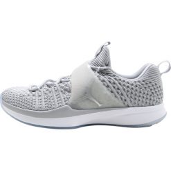 Buty skate męskie: Jordan TRAINER 2 FLYKNIT Obuwie treningowe wolf grey/metallic silver/white