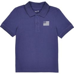 T-shirty chłopięce: Polo z motywem flag 3-12 lat
