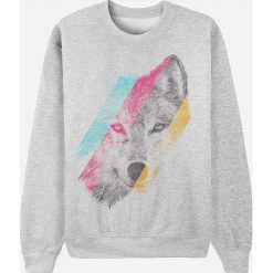 Bluza w kolorze jasnoszarym. Szare bluzy damskie Wooop, m, bez wzorów, bez rękawów, bez kaptura. W wyprzedaży za 87,95 zł.