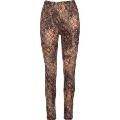Brązowe Legginsy Kiss Someone. Pomarańczowe legginsy damskie Multu, s, bez wzorów. Za 14,99 zł.