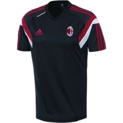 T-shirty męskie: T-shirt w kolorze czarnym